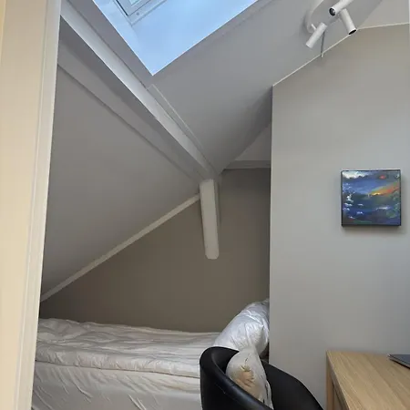 Penthouse Loft With Private Garden, Pergola And Parking * Oslo